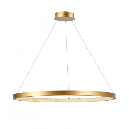 2104-DW/1000 PAINT GOLD (1) Светильник (NW) 