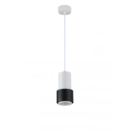 1129W+B-M WHITE+BLACK (1/30) Светильник RL 