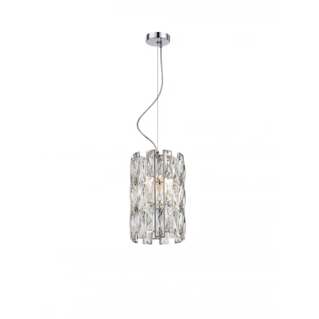 B65-ф220*H340 CHROME (1) Подвесной светильник NW 