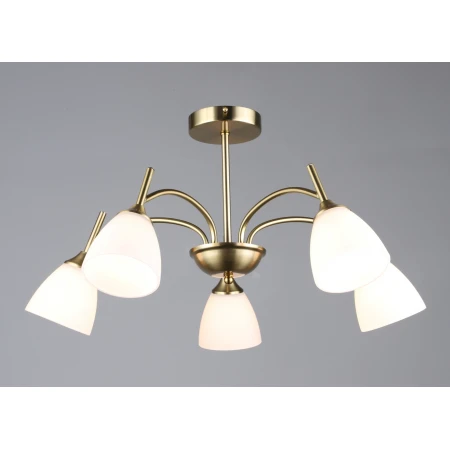 7349/5 COP (1) Люстра RL 