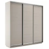 Шкаф-купе Экспресс Элемент трио