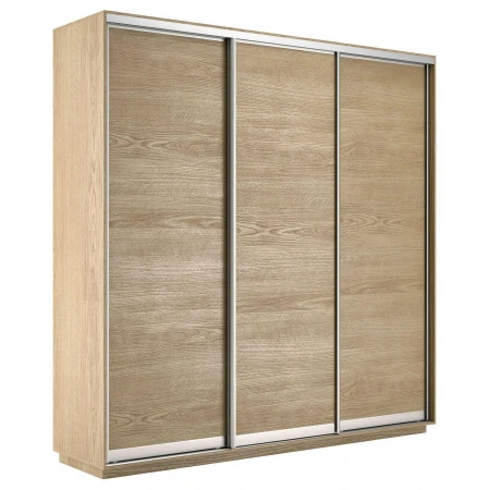 Шкаф-купе Экспресс Элемент трио