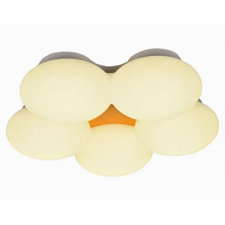 1176/500-70W  (1) - Светодиодные светильники Selena