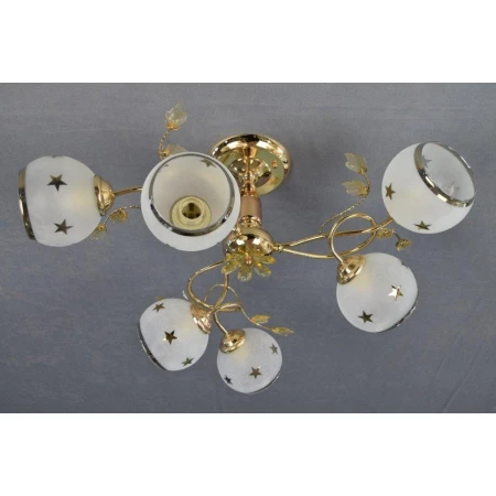 Т4081/6 (4)с/к  FCD светильник потолочный [01053025] - Эконом класс люстры