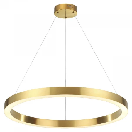 Подвесной светодиодный светильник Odeon Light Brizzi 3885/45LG