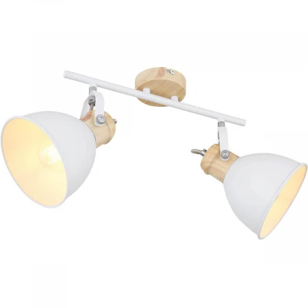 Спот Globo Wiho 54018-2