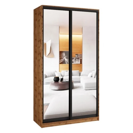 Шкафы-купе 2-х дверный Шкаф-купе зеркальный 