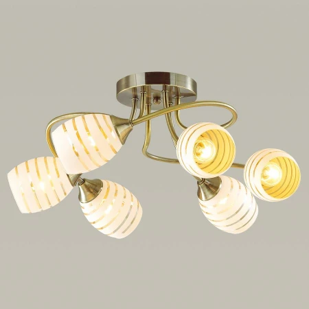 Люстра Lumion 4528/6C DOROTHY