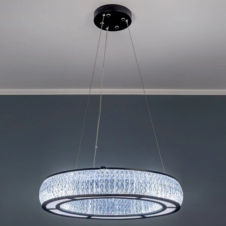 Светильник Frezia Light 1019 matte black