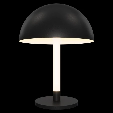 Настольная лампа Maytoni Z012TL-L8B3K Ray