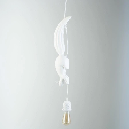 Светильник для детской BLS 19987 Sherwood E Robin