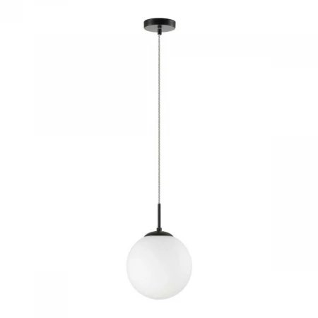 Подвесной светильник Lumion SUMMER 6510/1B