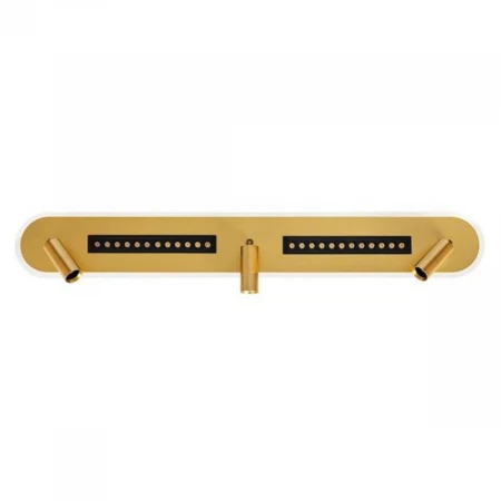 Светодиодный спот Arte Lamp Pisces A2220PL-3GO