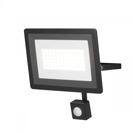 Прожектор светодиодный Maytoni Flood 50W 4000K FL001-L50B4KSR