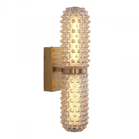 Настенный светильник ST Luce SAGUARO SL6144.301.01