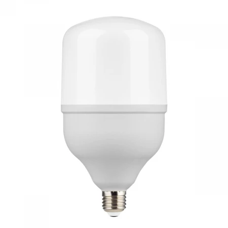 Лампа светодиодная Gauss E27 50W 6500K матовая 63235