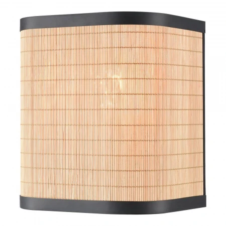 Настенный светильник Velante 568-711-01