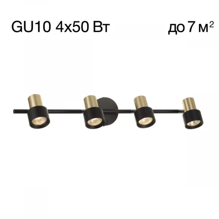 Спот поворотный Citilux SAT CL505641
