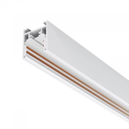 Шинопровод Maytoni Exility TRXM034-412W