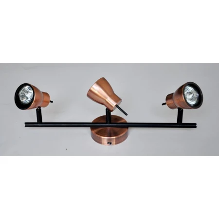 8746-03/I502 RAB+BK (1/8) Спот 