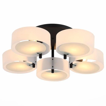 Светильник ST LUCE SL483.402.05 Foresta