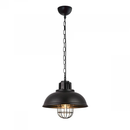 Подвесной светильник Vele Luce Levi VL6202P01