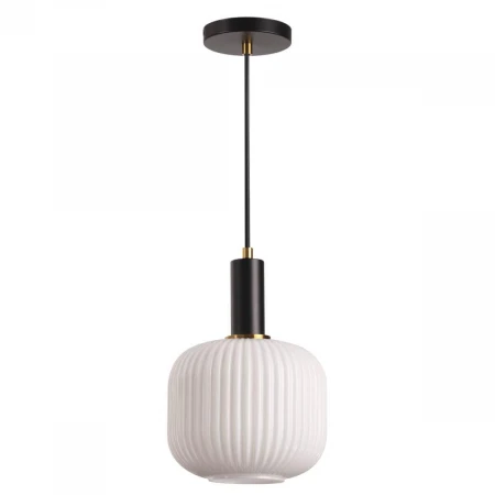 Подвесной светильник Lumion Merlin 4452/1