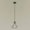 Подвесной светильник Lumion Alfred 3639/1