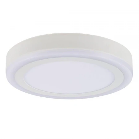 Потолочный светодиодный светильник Arte Lamp Antares A7824PL-2WH