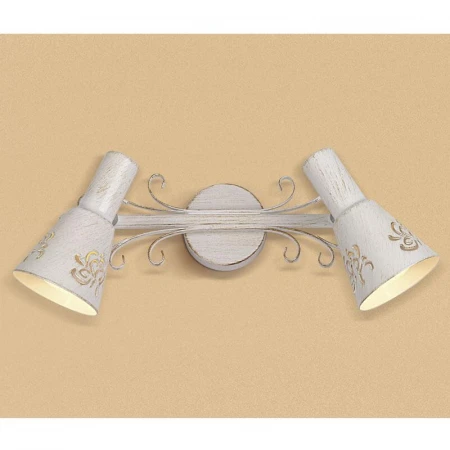 Спот Citilux Дункан CL529522